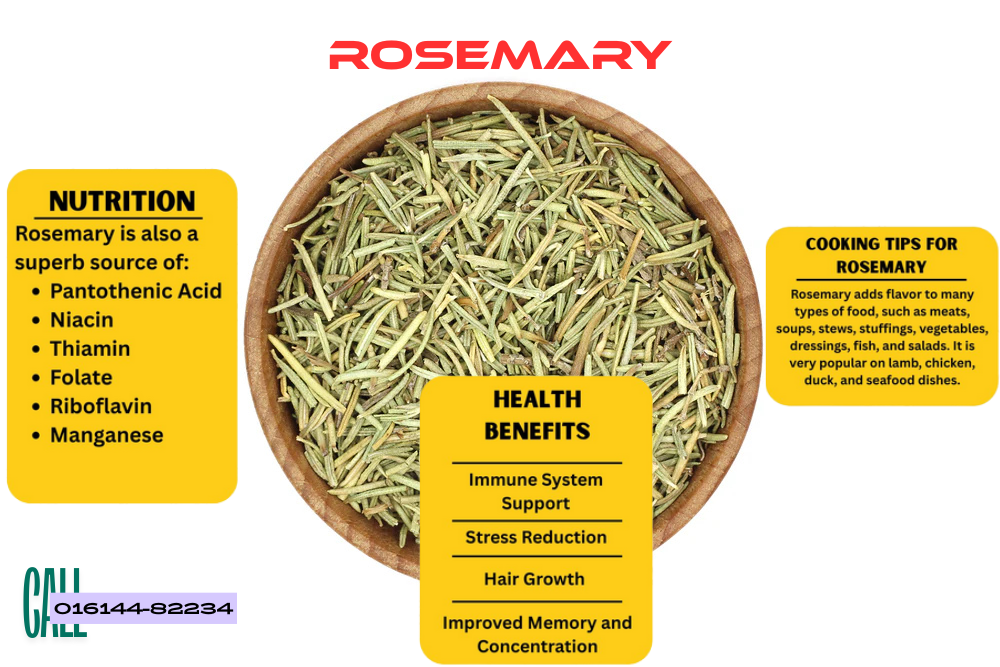 রোজমেরি (Rosemary)